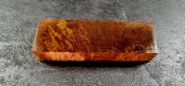 Stocked walnut (Nuss19)