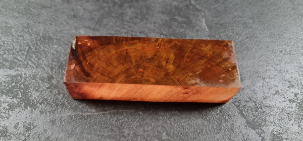 Stocked walnut (Nuss21)